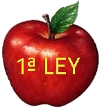 PRIMERA LEY DE NEWTON