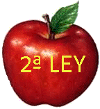 SEGUNDA LEY DE NEWTON